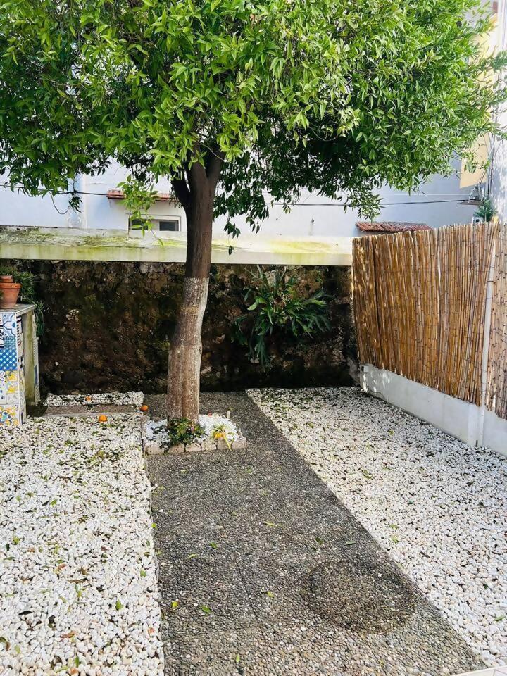 Marisabella Luxury Home Vico Equense Buitenkant foto